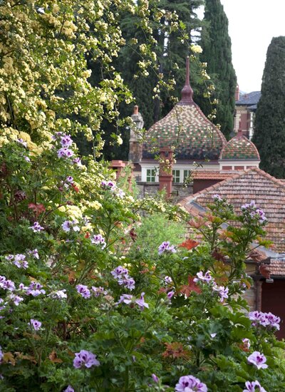 The English in Alassio