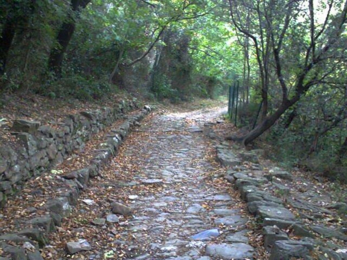 Via Iulia Augusta